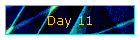 Day 11