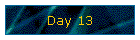Day 13