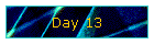 Day 13