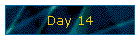 Day 14