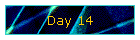 Day 14
