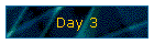 Day 3