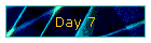 Day 7