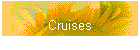 Cruises