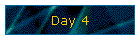 Day 4